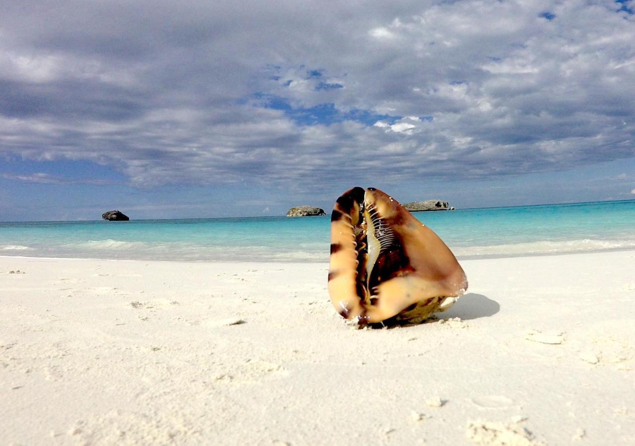 Апартаменты Turtles Nest Bahamas Джорджтаун Экстерьер фото