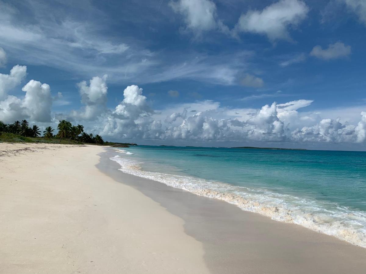 Апартаменты Turtles Nest Bahamas Джорджтаун Экстерьер фото