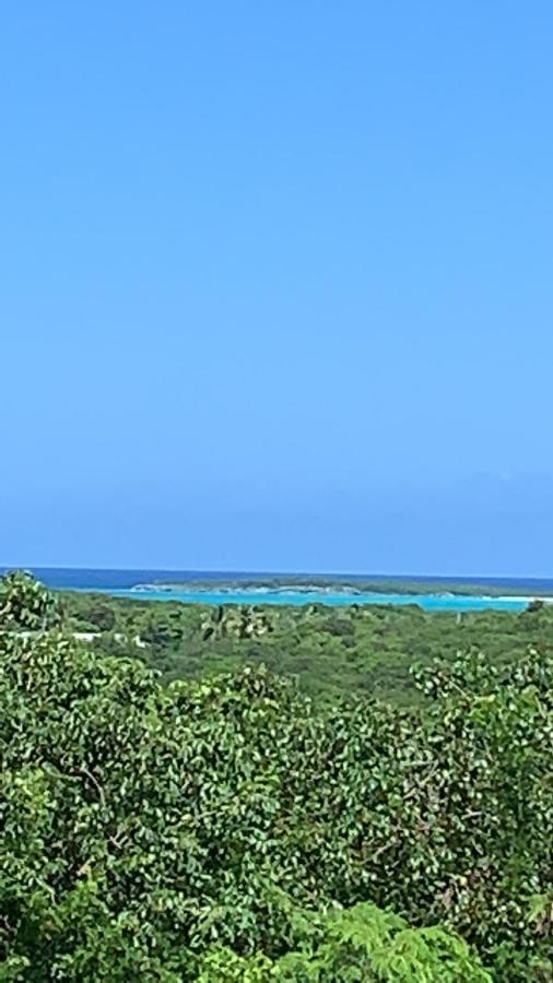 Апартаменты Turtles Nest Bahamas Джорджтаун Экстерьер фото